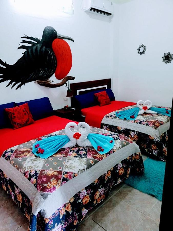 Suite Galarous Island Puerto Ayora  Exteriör bild