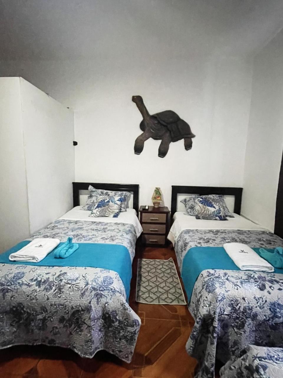 Suite Galarous Island Puerto Ayora  Exteriör bild